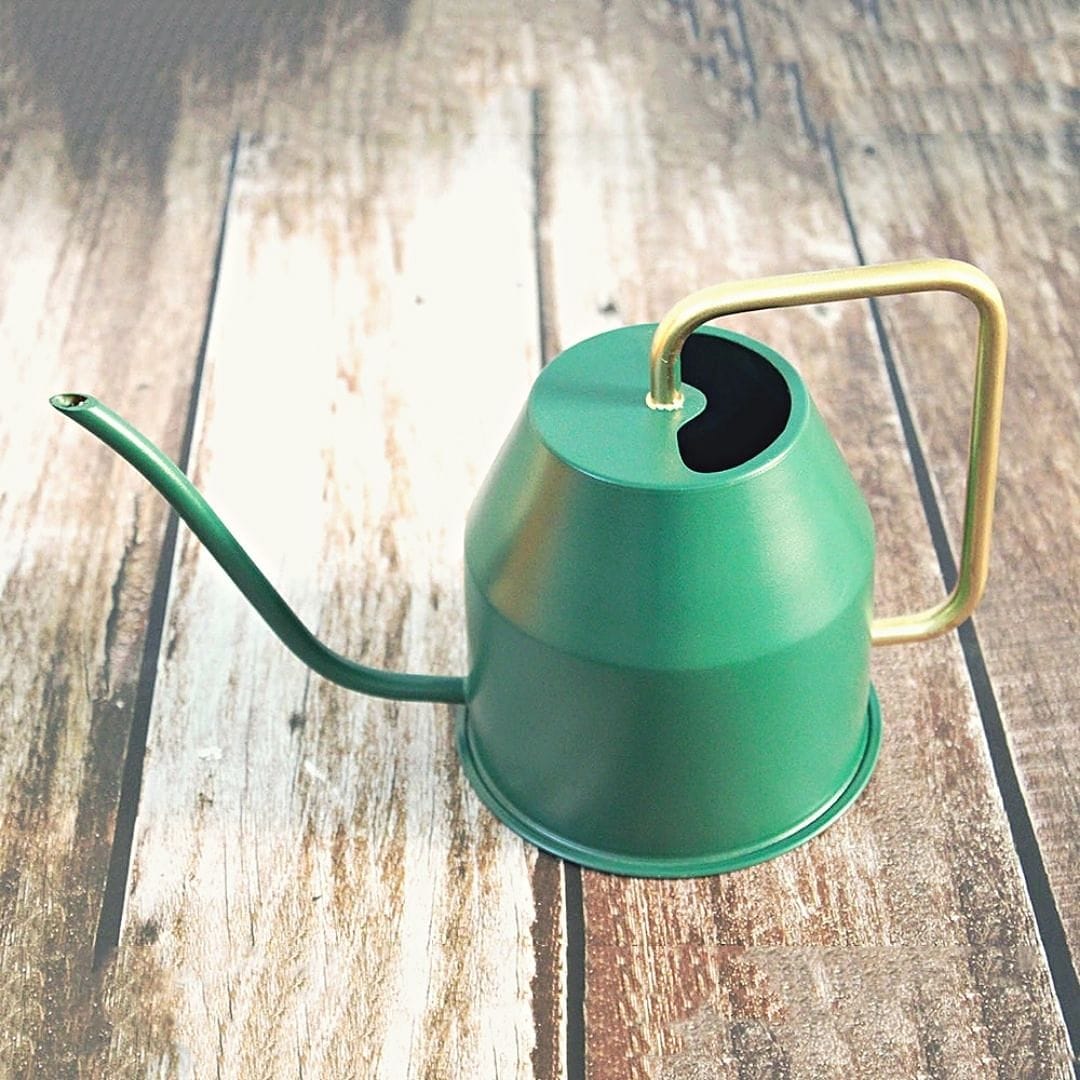 Leafy Aqua Sprout Watering Can