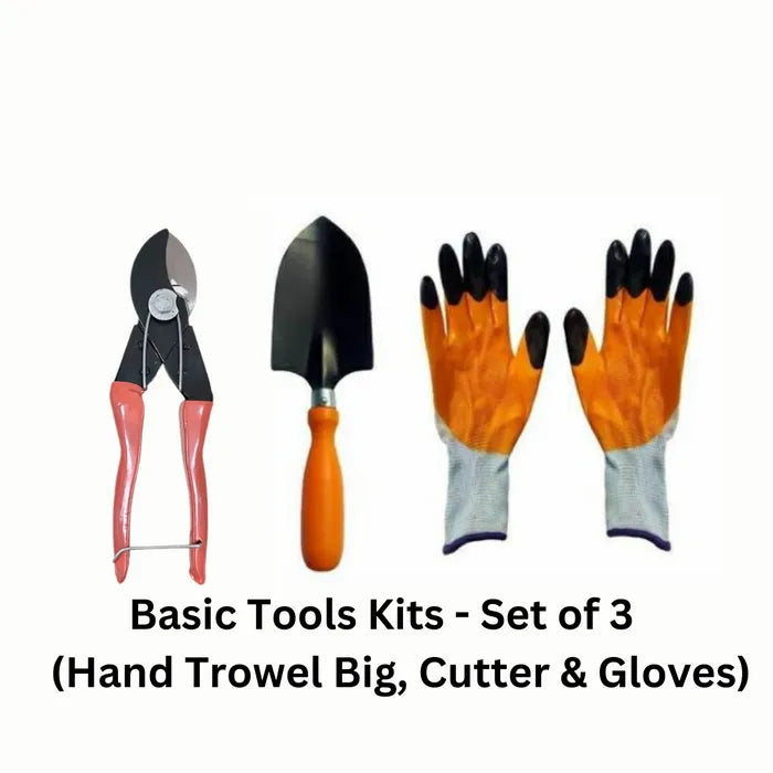 Basic Tools Kits - Set of 3 (Hand Trowel Big, Cutter, Gloves)