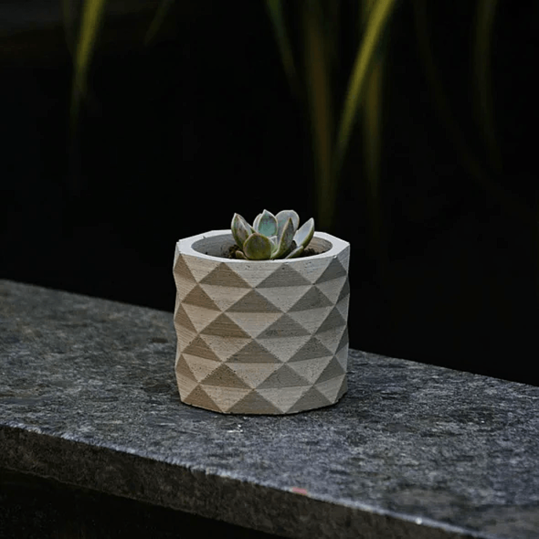 6-Inch Tryst Concrete Pot (Medium) Set of 1/2 | Available Color White, Beige, Red, Blue & Green |