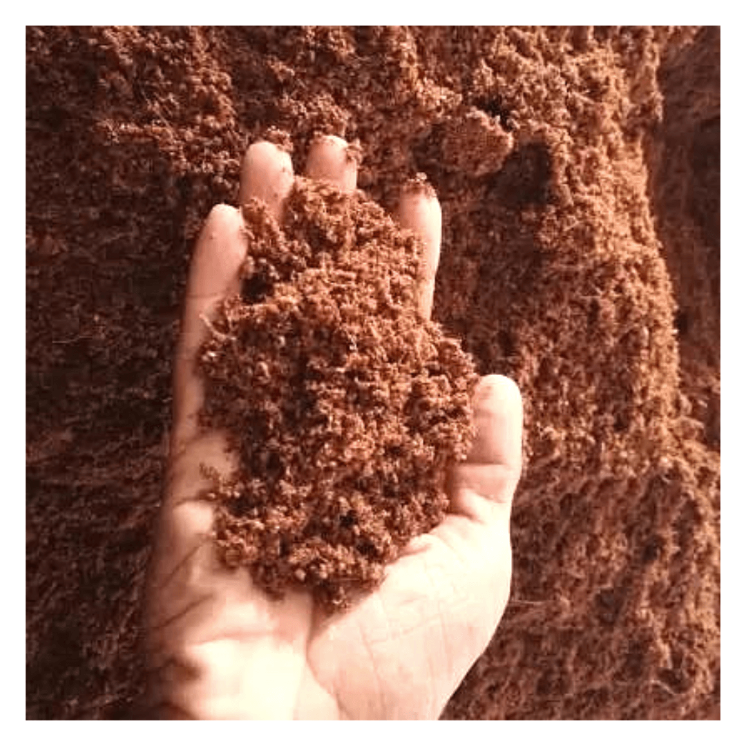 Organic Cocopeat Block (Approx. 5 Kg) - Soil Essentials for Healthy Roots