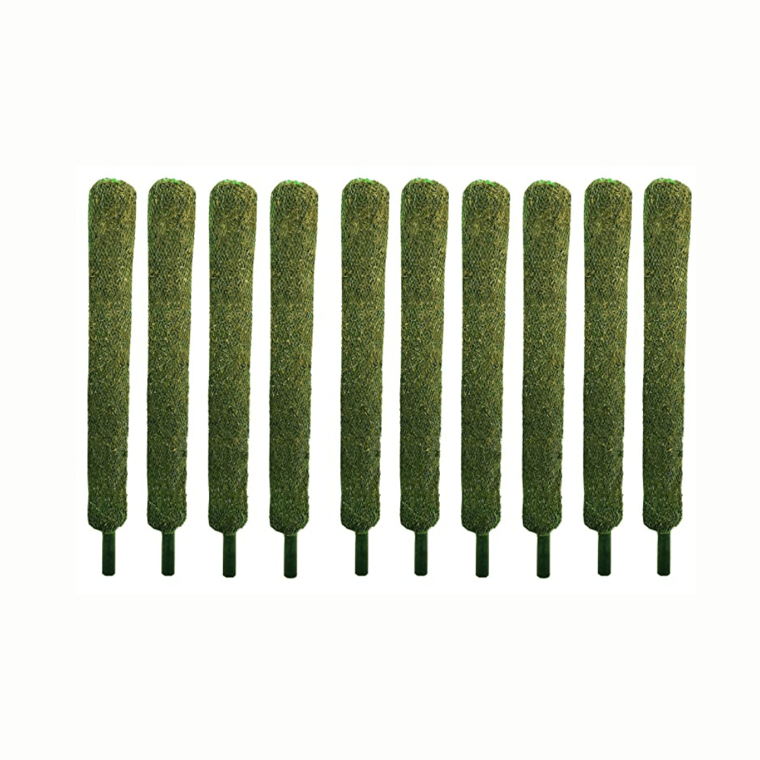 3 Feet Moss Stick set of 5/10