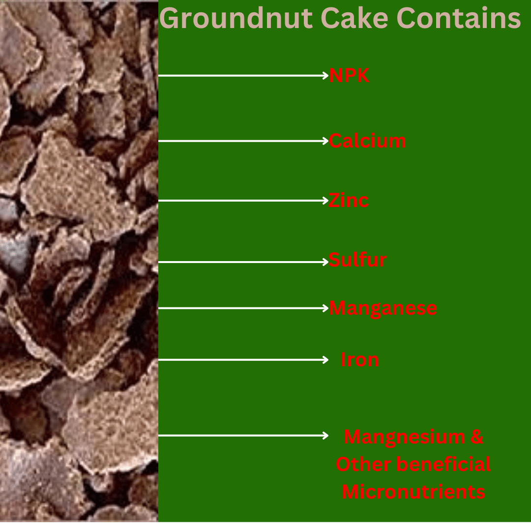 Groundnut Cake / KADALAI Cake | Organic Fertilizer 1.5/2.5/5 Kg