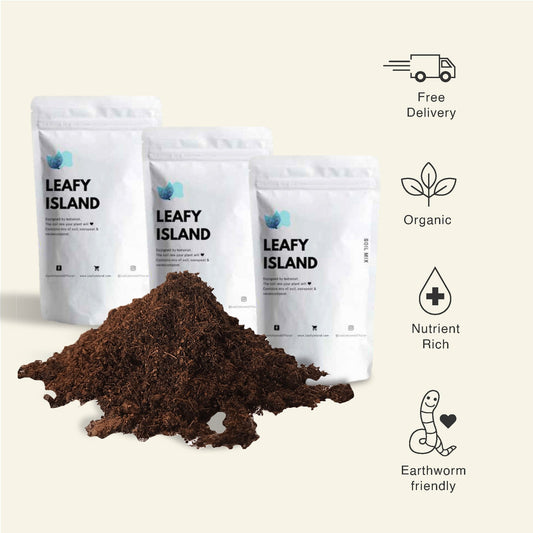 Nutrient Rich Soil Box - 10Kg - Leafy Island
