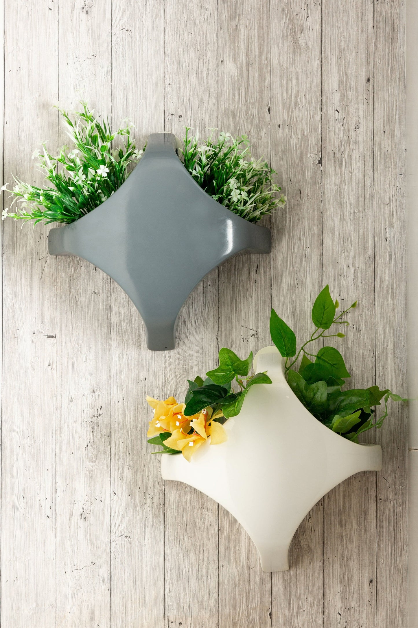 Chic Web Wall-Mount FRP Planter | Available Color White, Black, Green & Grey |