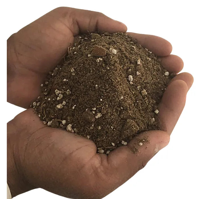 Succulent Potting Soil Mix - 2 Kg/ 3 Kg/ 5 Kg - Succulent/ Cactus Repotting Soil Mix