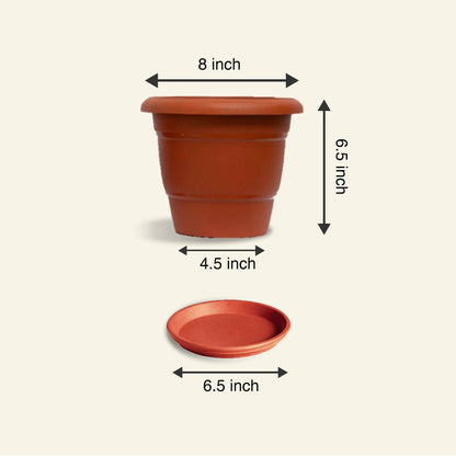 8 inch Brown Garden/ Indoor Pot - Set of 3 + 3 Plates - Leafy Island